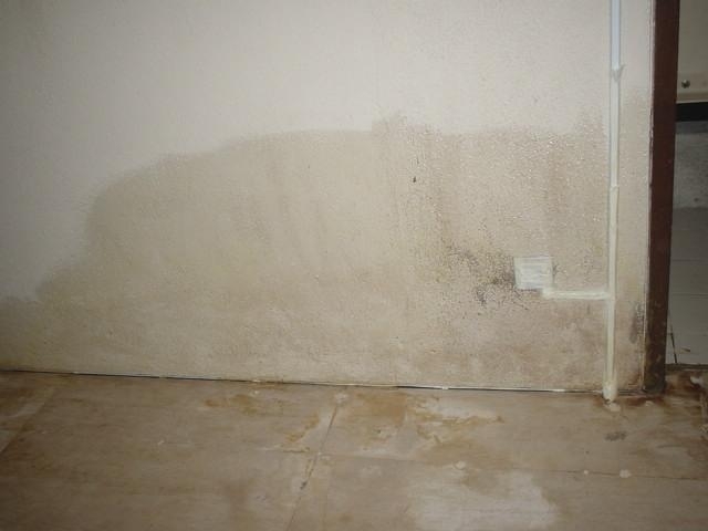 Removing Dampness In Walls Budget Dry, How To Treat A Damp Basement Wall