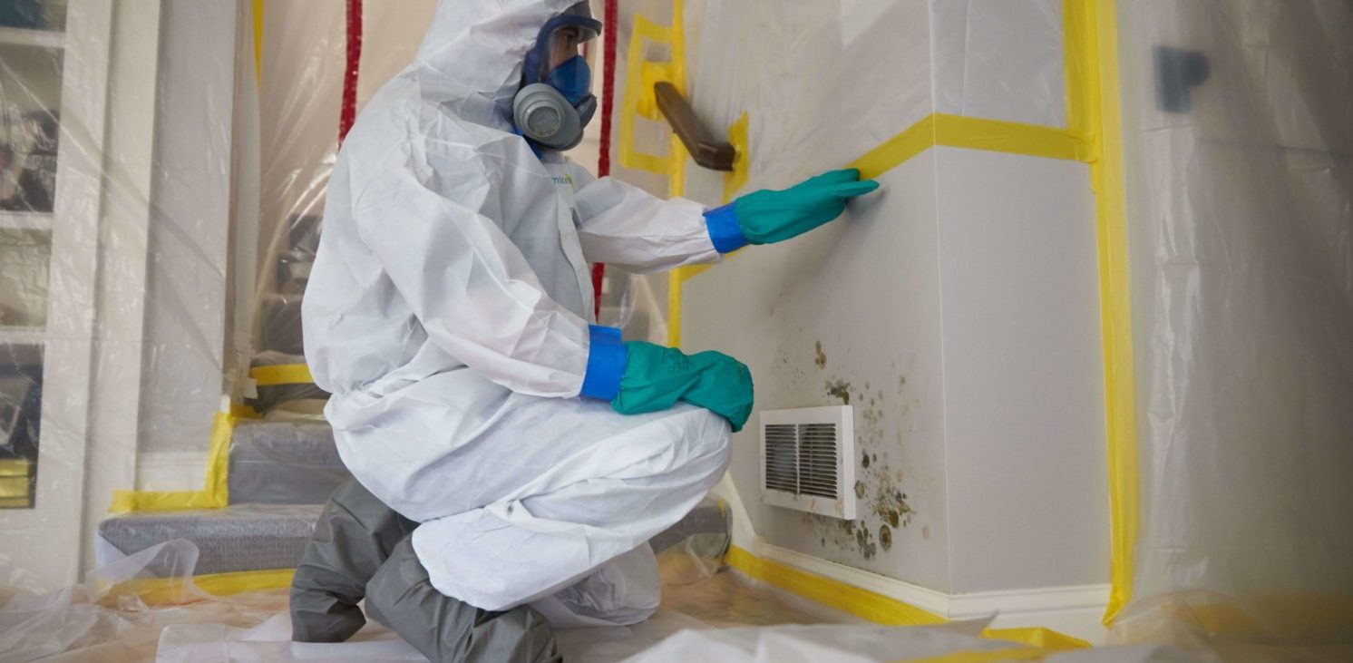 Tips for Buying a House after Mold Remediation New Britain, CT Budget