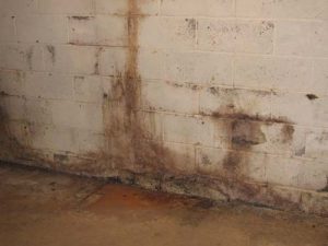 basement-inspected-killingworth-ct-budget-dry-waterproofing-1