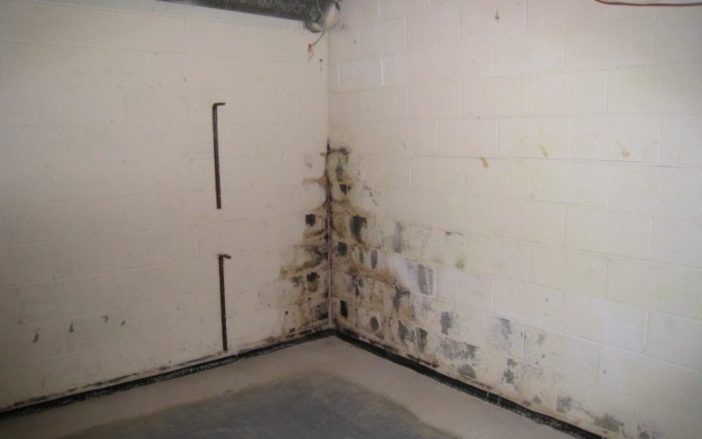 basement-inspected-killingworth-ct-budget-dry-waterproofing-3