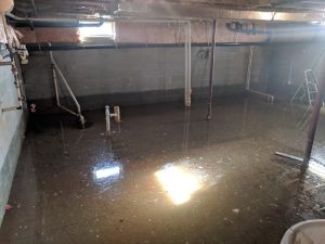 basement-waterproofing-services-budget-dry-waterproofing-3