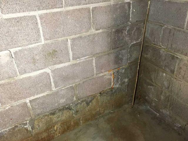 foundation-repair-methods-budget-dry-waterproofing-1
