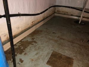 basement-waterproofing-budget-dry-waterproofing-2